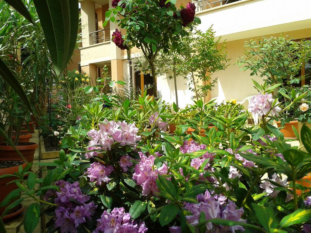 Hotel Chuchulev Созополь Екстер'єр фото